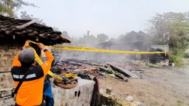 Api Berkobar, Aksi Heroik Korban Kebakaran di Cepu Selamatkan Kendaraan hingga Ternak