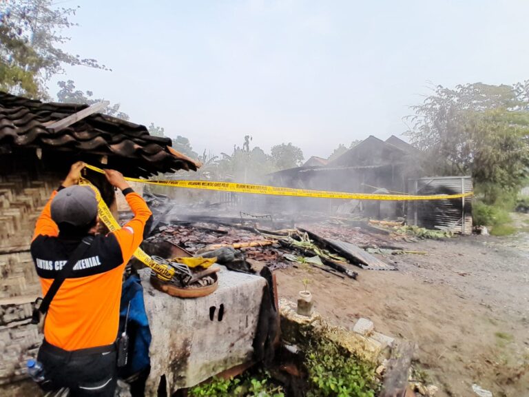 Api Berkobar, Aksi Heroik Korban Kebakaran di Cepu Selamatkan Kendaraan hingga Ternak