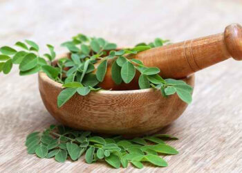 Bikin Glowing dan Kencang 10 Manfaat Tanaman Kelor untuk Kecantikan yang Perlu Kamu Ketahui