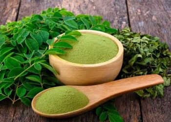 Bisa Dijadiin Teh Hingga Sabun 5 Macam Olahan Tanaman Kelor untuk Kesehatan dan Kecantikan