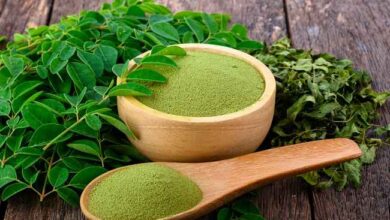 Bisa Dijadiin Teh Hingga Sabun 5 Macam Olahan Tanaman Kelor untuk Kesehatan dan Kecantikan