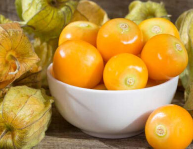 Bisa Diolah Jadi Teh Manfaat Tanaman Ciplukan dan Cara Mengolahnya