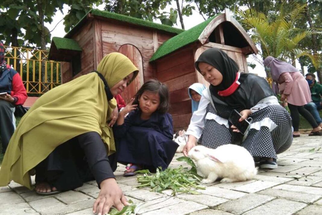 Blora Hits 10 Rekomendasi Tempat Wisata di Blora untuk Menikmati Momen Libur Imlek 2025
