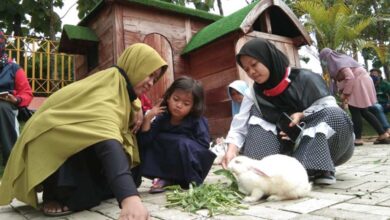 Blora Hits 10 Rekomendasi Tempat Wisata di Blora untuk Menikmati Momen Libur Imlek 2025