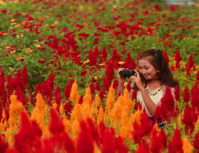 Destinasi Agrowisata Kebun Buah Greneng Permata yang Tersembunyi di Kabupaten Blora