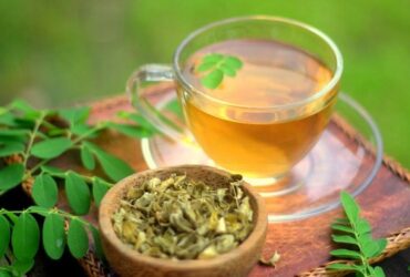 Khasiat Daun Kelor Cara Mengolah Tanaman Kelor Menjadi Minuman yang Menyehatkan