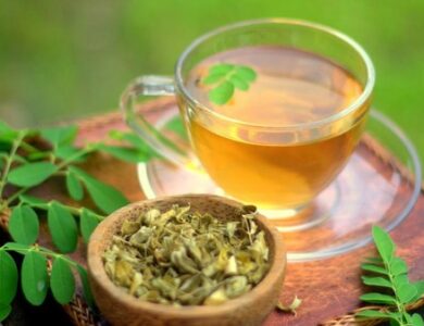 Khasiat Daun Kelor Cara Mengolah Tanaman Kelor Menjadi Minuman yang Menyehatkan