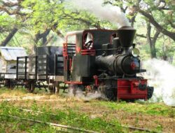 Murah Meriah dan Seru 6 Tempat Wisata di Cepu Kabupaten Blora yang Sangat Hits dan Instagramable