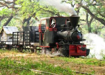 Murah Meriah dan Seru 6 Tempat Wisata di Cepu Kabupaten Blora yang Sangat Hits dan Instagramable