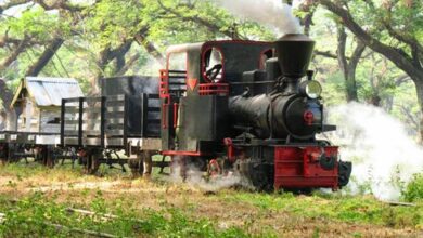 Murah Meriah dan Seru 6 Tempat Wisata di Cepu Kabupaten Blora yang Sangat Hits dan Instagramable