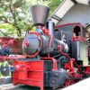 tempat-wisata-di-cepu-kabupaten-blora-yang-sangat-hits-dan-instagramable