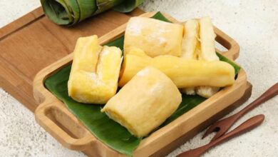 6 Langkah Mudah Membuat Tape Singkong yang Enak dan Menggugah Selera