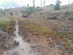 Terkait Semburan di Lapangan Migas Kedinding, KSO Pertamina EP - KVell Blora Energi Harus Bertanggung Jawab Penuh