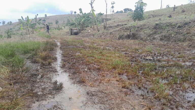 Terkait Semburan di Lapangan Migas Kedinding, KSO Pertamina EP - KVell Blora Energi Harus Bertanggung Jawab Penuh