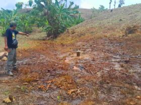 Semburan Minyak Kembali Muncul di Lapangan Kedinding Blora Kali Ini Minyak Mentah Bercampur Air