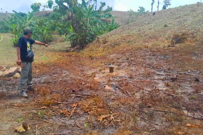 Semburan Minyak Kembali Muncul di Lapangan Kedinding Blora Kali Ini Minyak Mentah Bercampur Air