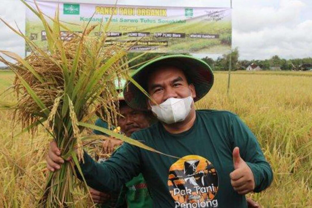 Sudah Diputuskan! Harga Gabah di Blora Jadi Segini Per Kilo Berlaku Mulai Februari 2025