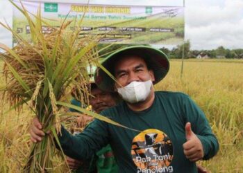 Sudah Diputuskan! Harga Gabah di Blora Jadi Segini Per Kilo Berlaku Mulai Februari 2025