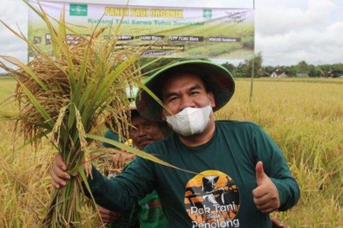 Sudah Diputuskan! Harga Gabah di Blora Jadi Segini Per Kilo Berlaku Mulai Februari 2025