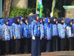 Tak Terdampak Efisiensi Anggaran! Segini Gaji Pppk Terbaru dari Golongan I Sampai Dengan Golongan VII