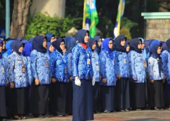 Tak Terdampak Efisiensi Anggaran! Segini Gaji Pppk Terbaru dari Golongan I Sampai Dengan Golongan VII