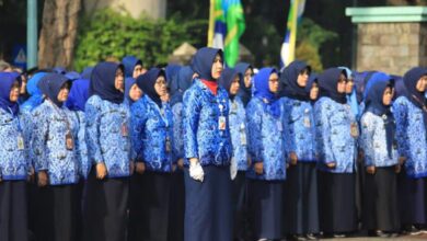Tak Terdampak Efisiensi Anggaran! Segini Gaji Pppk Terbaru dari Golongan I Sampai Dengan Golongan VII