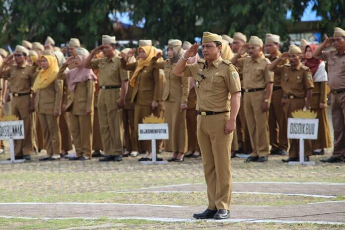 Dipercepat Pengangkatan CPNS Mulai Juni 2025 PPPK Paling Lambat Oktober 2025