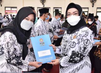 Guru Non ASN Punya SK Inpassing MERAPAT! Ada Tunjangan Guru Non ASN dengan Nominal GEDE Ini Rinciannya