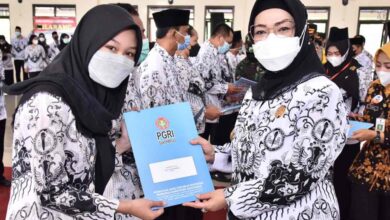 Guru Non ASN Punya SK Inpassing MERAPAT! Ada Tunjangan Guru Non ASN dengan Nominal GEDE Ini Rinciannya