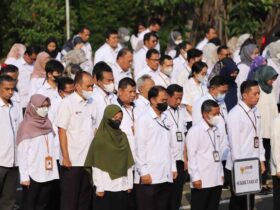 KemenPANRB BKN dan DPR Sepakat Pengangkatan Tenaga Honorer Menjadi ASN PPPK Dimulai di 2026