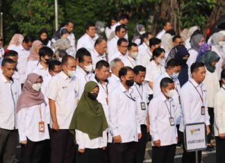 KemenPANRB BKN dan DPR Sepakat Pengangkatan Tenaga Honorer Menjadi ASN PPPK Dimulai di 2026