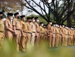 Mendagri Imbau Pemda Ikuti Arahan Presiden soal Pengangkatan CPNS dan PPPK 2024