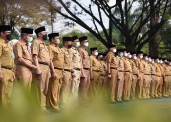 Mendagri Imbau Pemda Ikuti Arahan Presiden soal Pengangkatan CPNS dan PPPK 2024