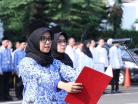 Penetapan NIP CPNS dan PPPK 2024 BKN Pastikan Sesuai Arahan Presiden