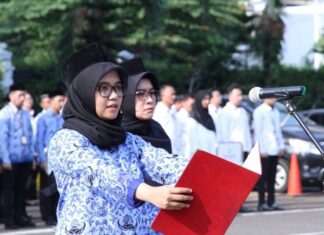 Penetapan NIP CPNS dan PPPK 2024 BKN Pastikan Sesuai Arahan Presiden