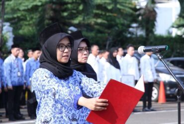 Penetapan NIP CPNS dan PPPK 2024 BKN Pastikan Sesuai Arahan Presiden