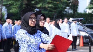 Penetapan NIP CPNS dan PPPK 2024 BKN Pastikan Sesuai Arahan Presiden