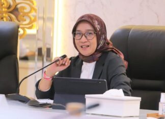 Percepat Pengangkatan CPNS dan PPPK 2024 MenPANRB Rini Minta Instansi Pemerintah Lakukan Simulasi