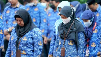 Polemik Pengangkatan CPNS dan PPPK 2024 BKN Buka Suara