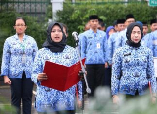 Resmi dari BKN Jadwal Terbaru Penetapan NIP CPNS dan PPPK 2024 Diumumkan Prof Zudan