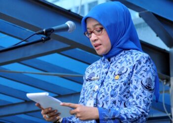 Resmi Terbit! Surat Edaran MenPANRB Tentang Penundaan Pengangkatan CPNS dan PPPK 2024