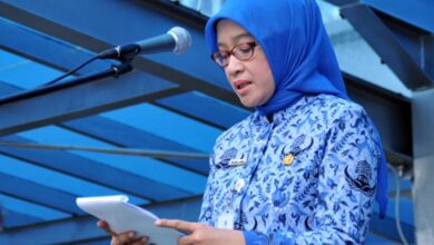 Resmi Terbit! Surat Edaran MenPANRB Tentang Penundaan Pengangkatan CPNS dan PPPK 2024