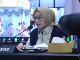 Tindak Lanjut Pengangkatan CPNS dan PPPK 2024 MenPANRB Mendagri dan BKN Gelar Rapat Percepatan Pengangkatan