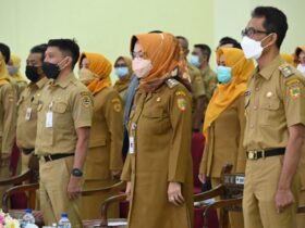 TMT CPNS dan PPPK Tak Lagi Serentak Instansi yang Sudah Siap Boleh Lakukan Pengangkatan