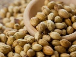 10 Kabupaten di Jawa Tengah Penghasil Kapulaga Terbanyak Rempah Ajaib dengan Banyak Manfaat