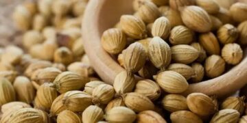 10 Kabupaten di Jawa Tengah Penghasil Kapulaga Terbanyak Rempah Ajaib dengan Banyak Manfaat