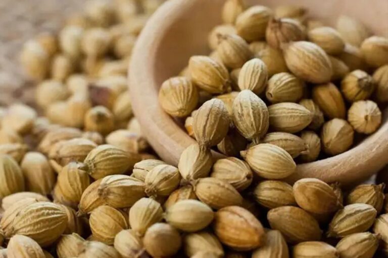 10 Kabupaten di Jawa Tengah Penghasil Kapulaga Terbanyak Rempah Ajaib dengan Banyak Manfaat