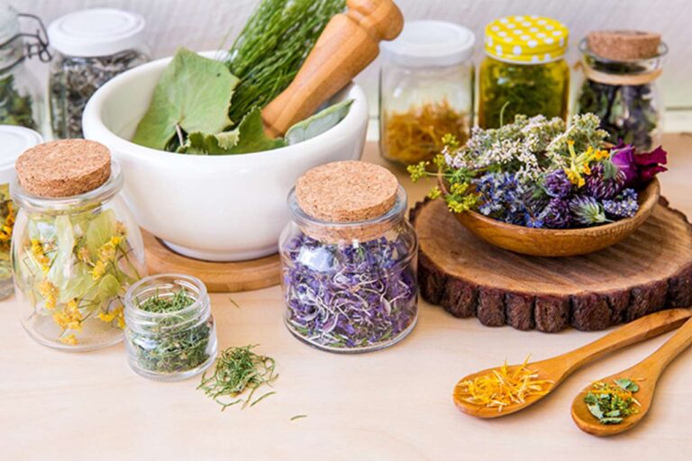 10 Tanaman Ajaib yang Berkhasiat untuk Pengobatan dan Tumbuh Liar di Indonesia