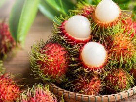 11 Manfaat Buah Rambutan untuk Kesehatan yang Mungkin Belum Anda Ketahui