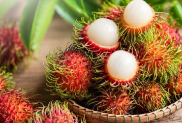 11 Manfaat Buah Rambutan untuk Kesehatan yang Mungkin Belum Anda Ketahui